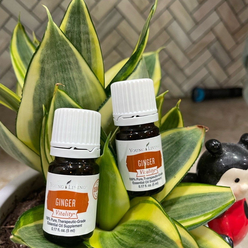 Young Living Ginger Vitality Essential Oil